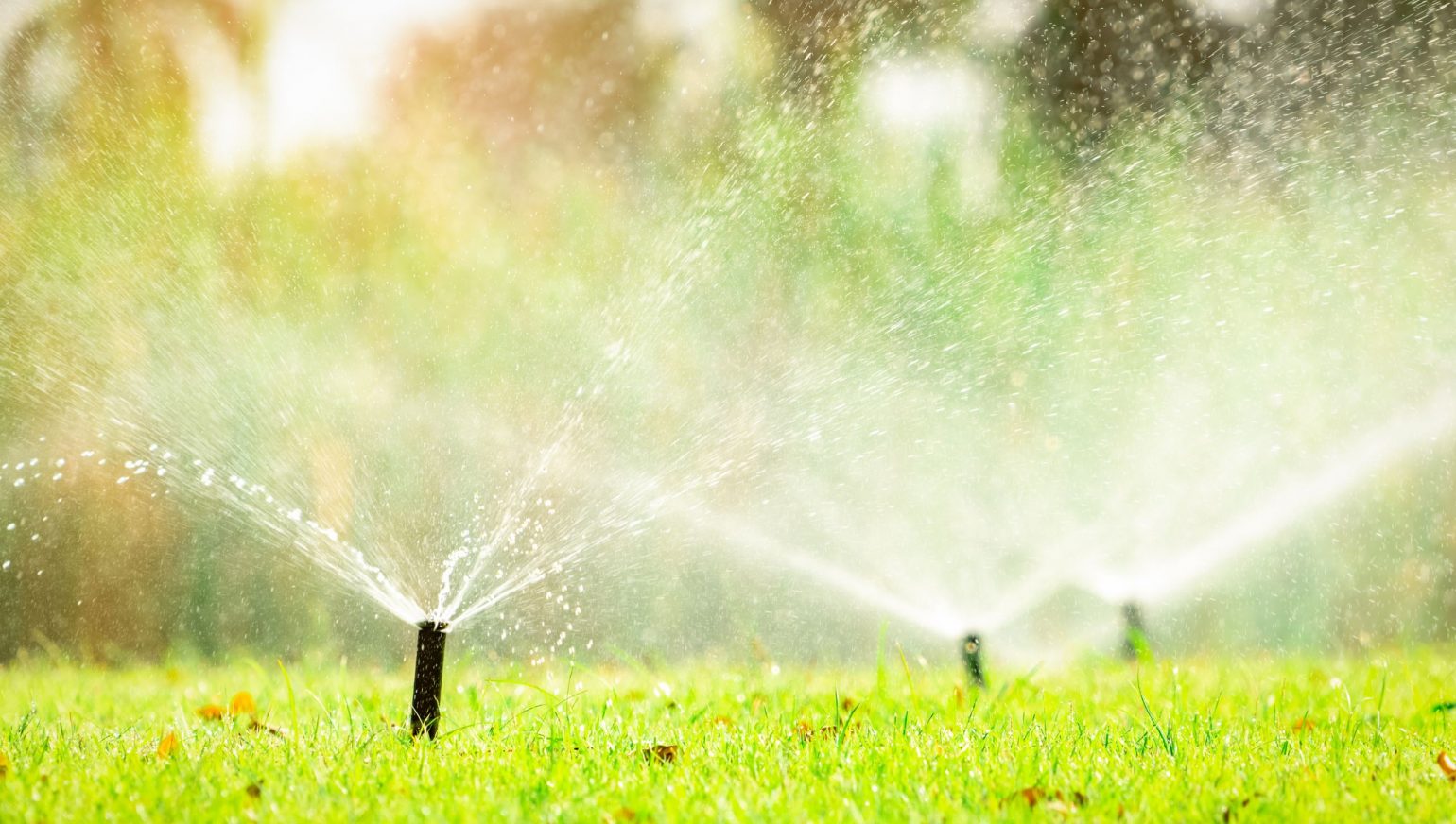 Smart Irrigation Systems: Revolutionizing Gardening With Efficiency And Innovation