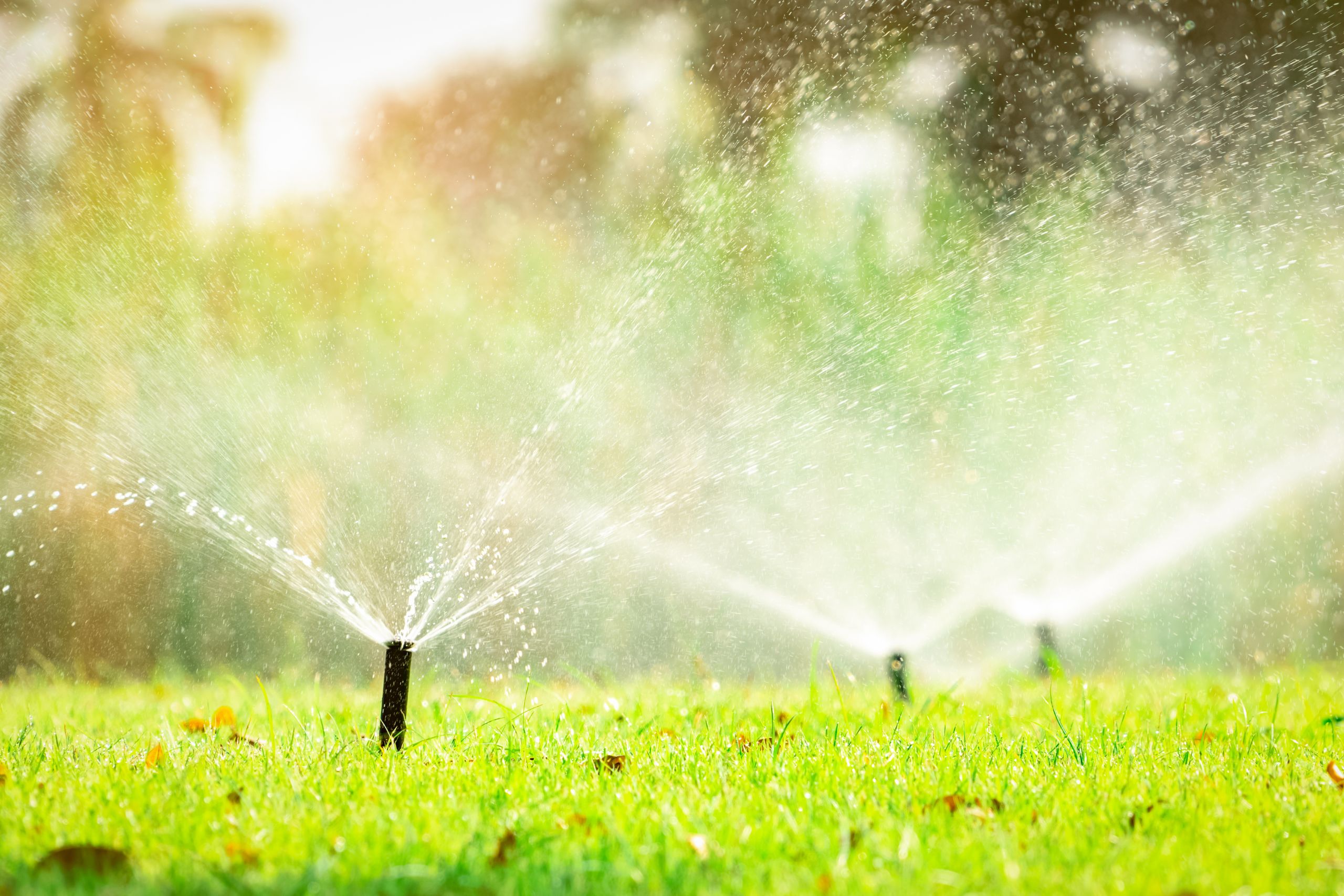 Smart Irrigation Systems: Revolutionizing Gardening With Efficiency And Innovation